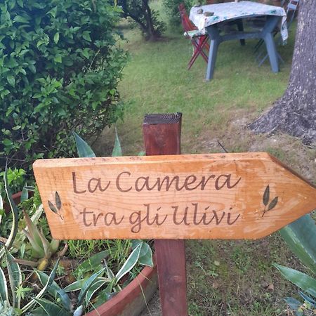 La Camera Tra Gli Ulivi Dream Finale Finale Ligure Dış mekan fotoğraf