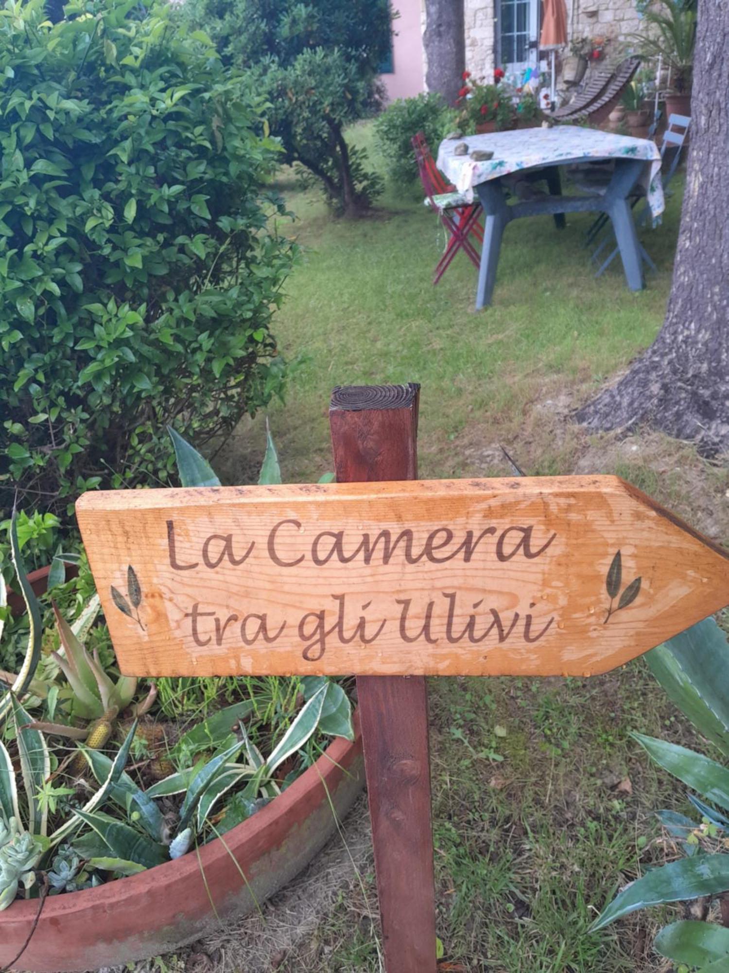 La Camera Tra Gli Ulivi Dream Finale Finale Ligure Dış mekan fotoğraf