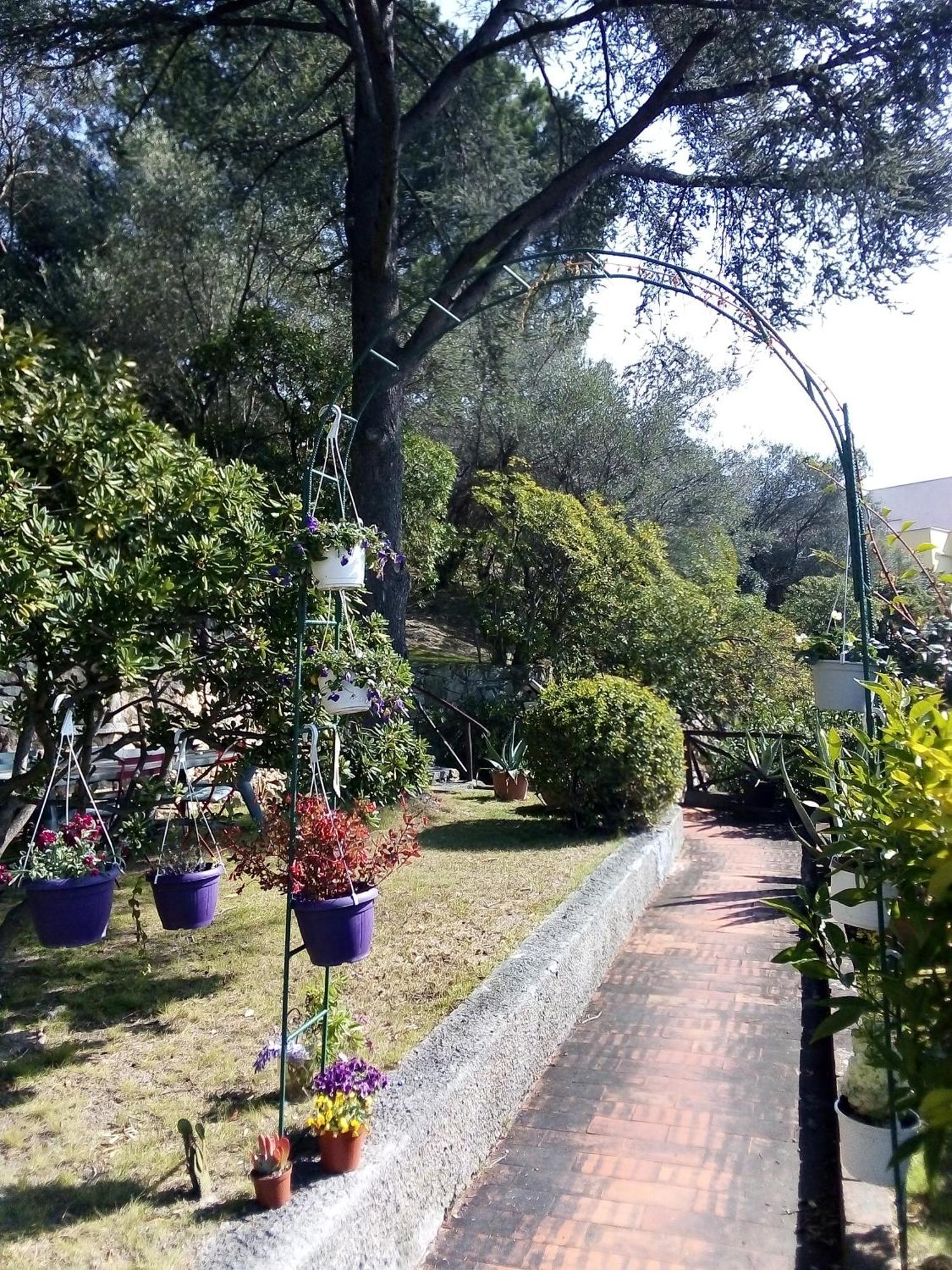La Camera Tra Gli Ulivi Dream Finale Finale Ligure Dış mekan fotoğraf