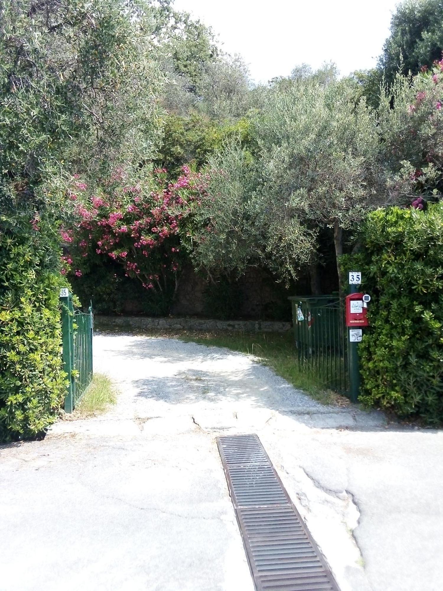 La Camera Tra Gli Ulivi Dream Finale Finale Ligure Dış mekan fotoğraf