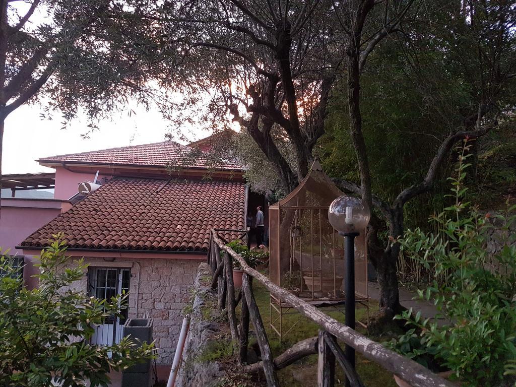 La Camera Tra Gli Ulivi Dream Finale Finale Ligure Dış mekan fotoğraf