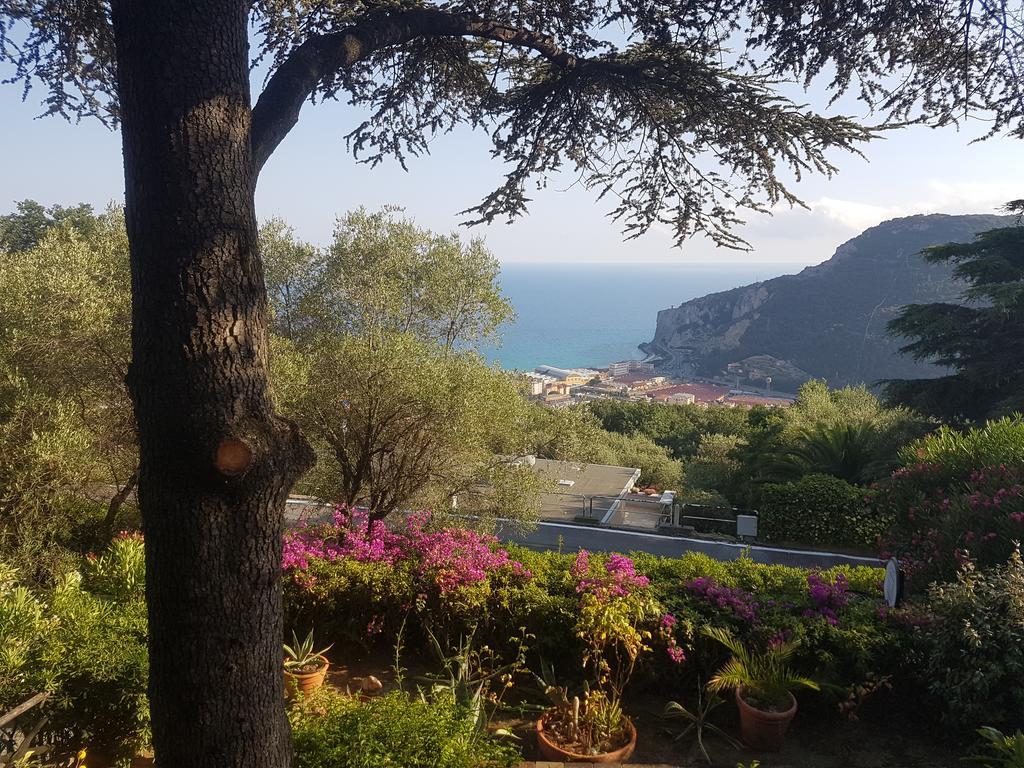La Camera Tra Gli Ulivi Dream Finale Finale Ligure Dış mekan fotoğraf