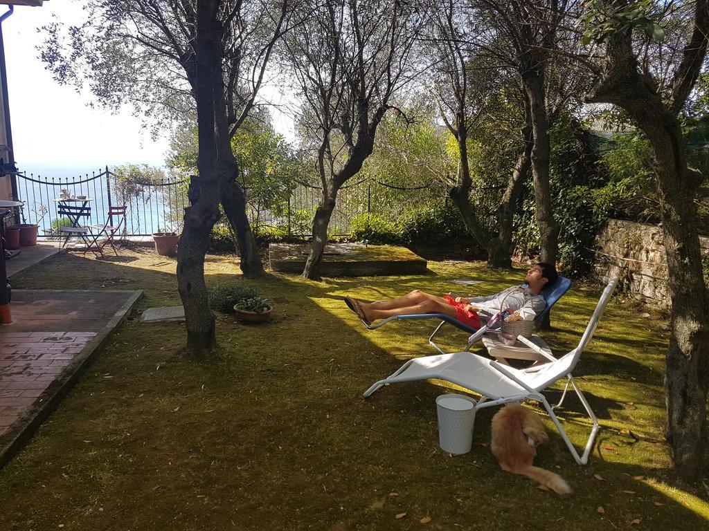 La Camera Tra Gli Ulivi Dream Finale Finale Ligure Dış mekan fotoğraf